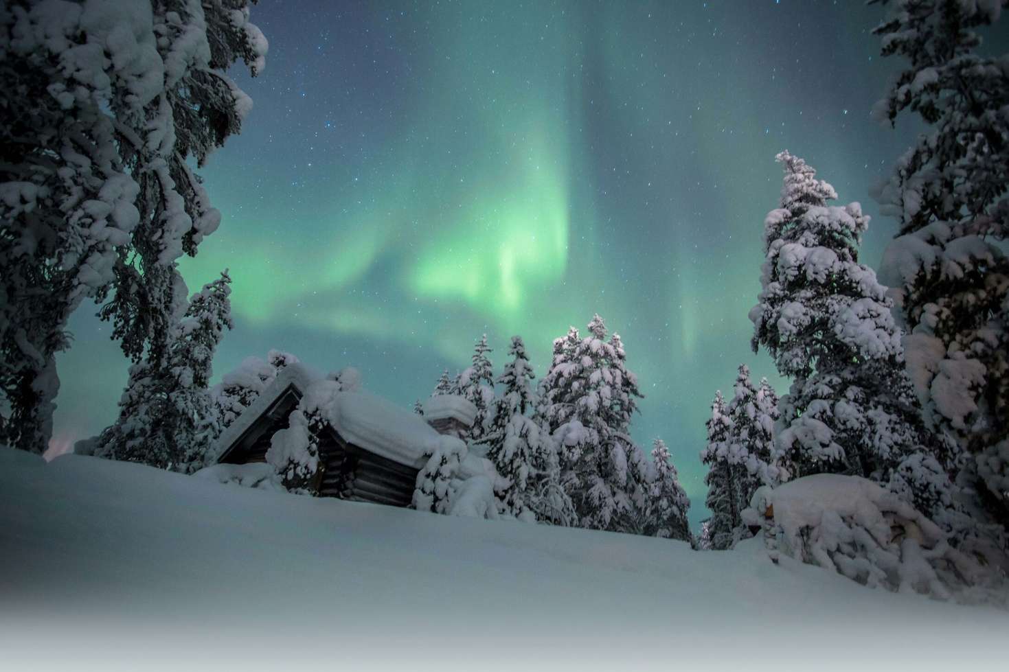 Arctic Northern Lights Lapland Adventure Hero