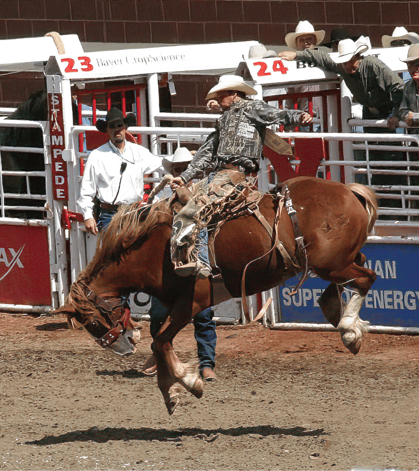 Canada Discovery: Calgary Stampede, Rockies& Niagara Falls